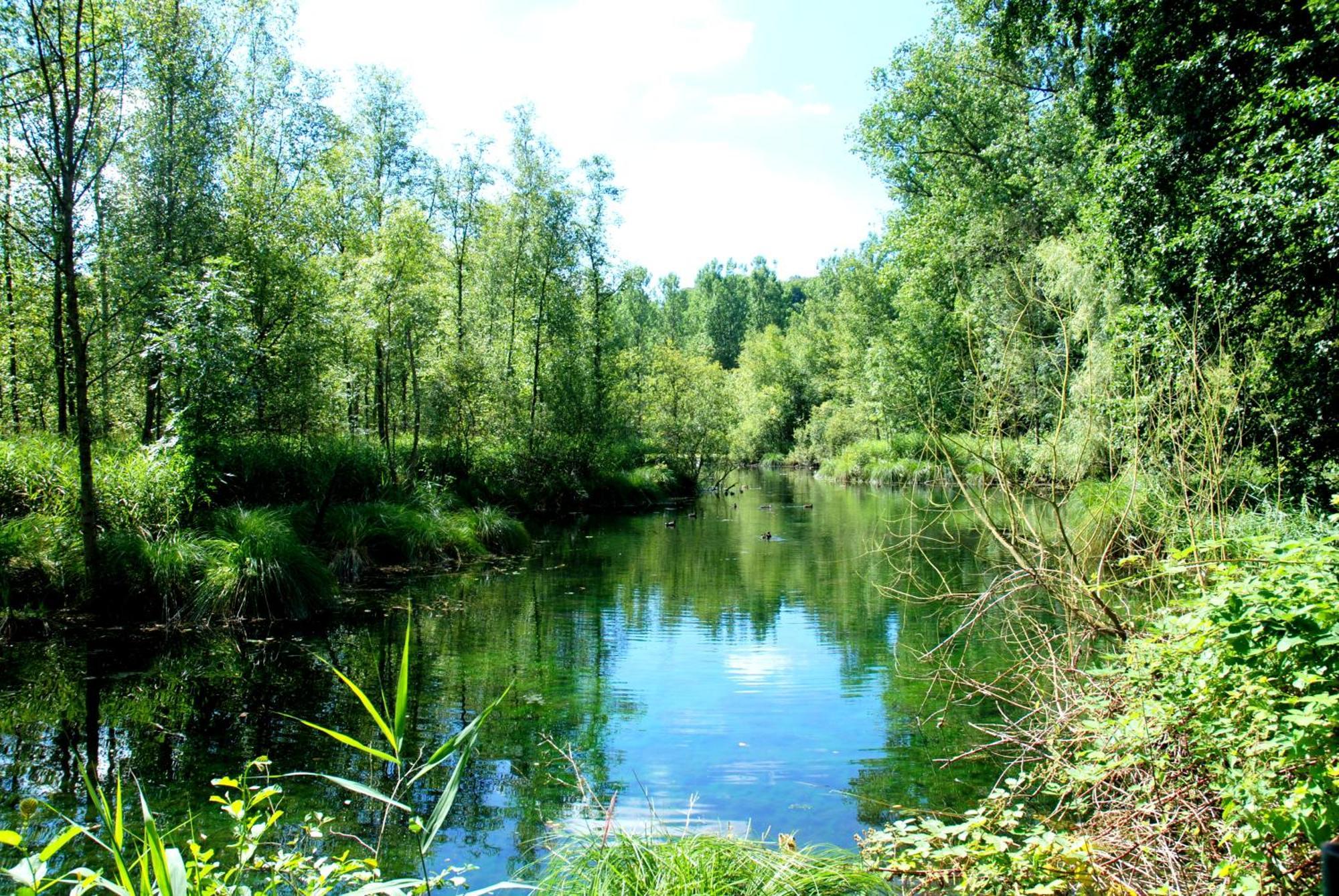 Hottonruy 4 Villa Stavelot Kültér fotó